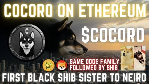 Cocoro on Ethereum | $COCORO Continues to Rise! New All Time Highs! Cult Like Community meet $COCORO