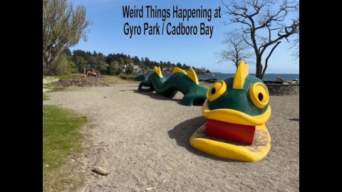 Weird Things Happening at Gyro Park Cadboro Bay